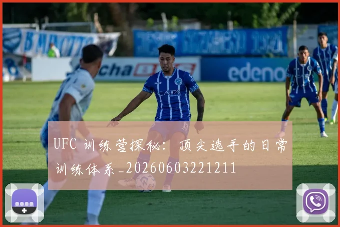 UFC 训练营探秘:顶尖选手的日常训练体系_20260603221211